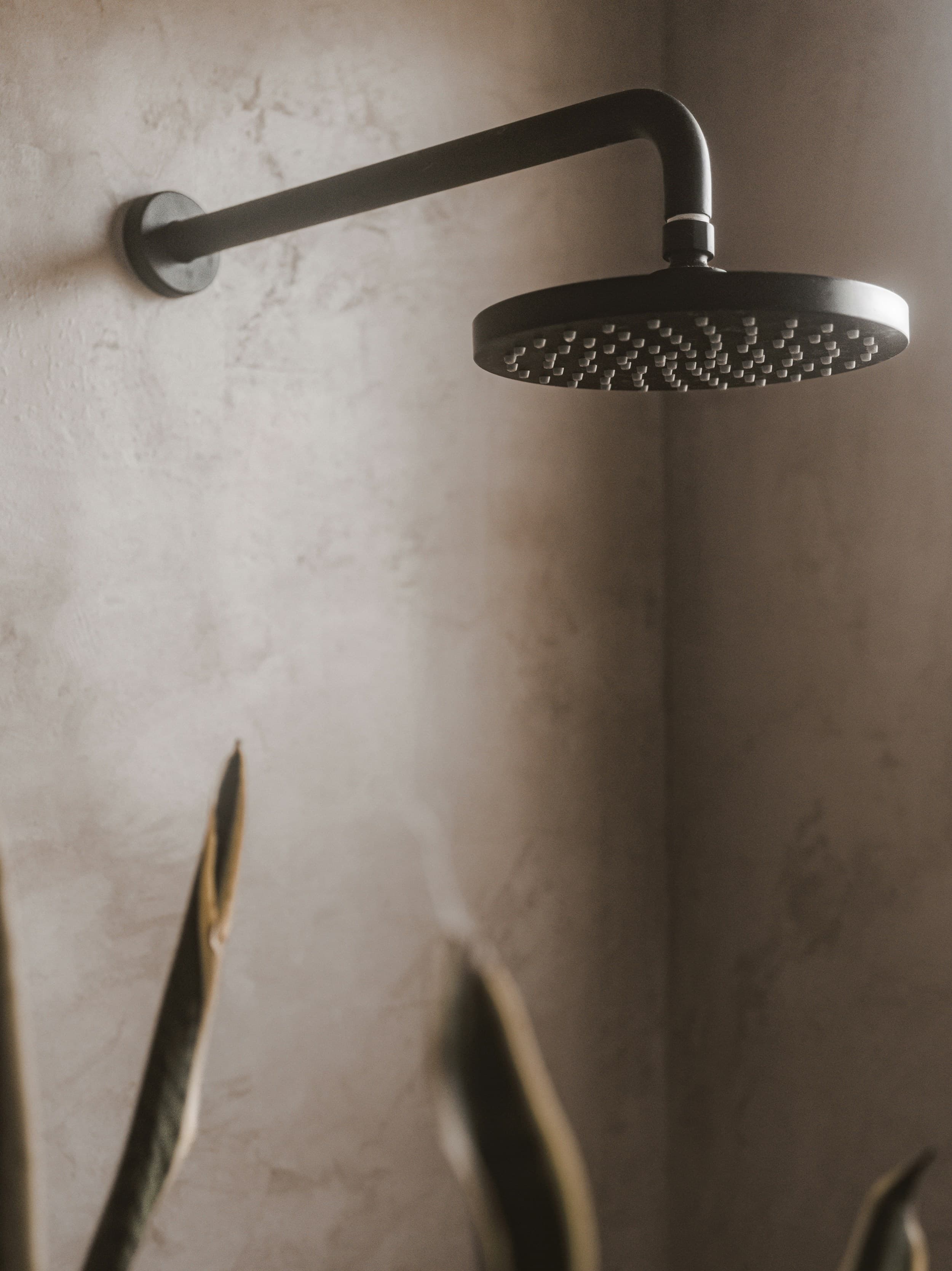 Showerhead product photo